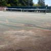 Newport Hills Swim & Tennis Club gift card