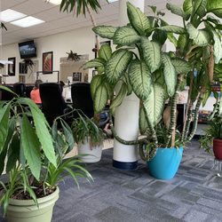 Hollywood Nails - Lobby