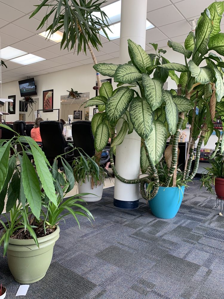 HOLLYWOOD NAILS Updated August 2024 15 Photos & 23 Reviews 2887