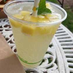 Steam and Cedar - Pineapple and ginger beer