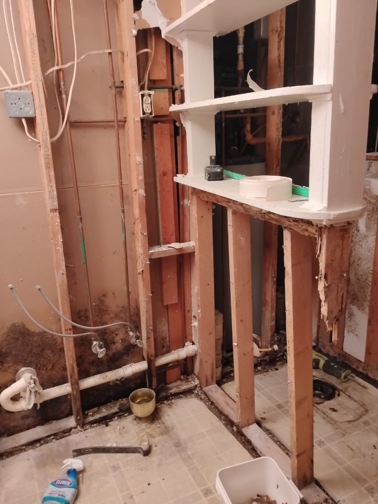 Slide of American Renovators