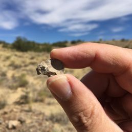 Pottery shards and fossils on New Mexico Jeep Tours. Pottery shards and fossils on New Mexico Jeep Tours.