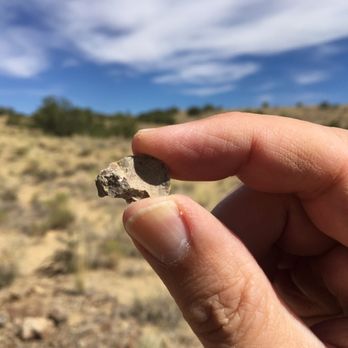 New Mexico Jeep Tours - Pottery shards and fossils on New Mexico Jeep Tours. - Tours Near Me New Mexico Jeep Tours - Pottery shards and fossils on New Mexico Jeep Tours. - Tours Near Me