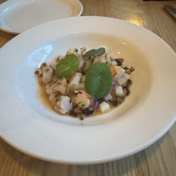 Wynona - Divine - Italian Near Me - Toronto, Ontario Wynona - Divine - Italian Near Me - Toronto, Ontario