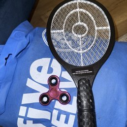 Fly swatter ZAP!!!