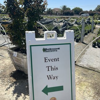 Belmont Nursery - Nurseries & Gardening Near Me - Fresno, California Belmont Nursery - Nurseries & Gardening Near Me - Fresno, California