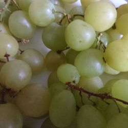 Netto Marken-Discount - Trauben Angebot