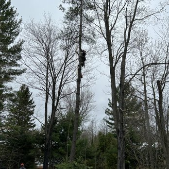Jays Compact Tractor and Trees - Tree Services Near Me Jays Compact Tractor and Trees - Tree Services Near Me