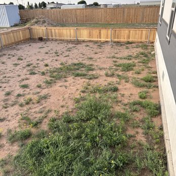 Super Dave's Lawns and More - What it looked like before. - Tree Services Near Me Super Dave's Lawns and More - What it looked like before. - Tree Services Near Me