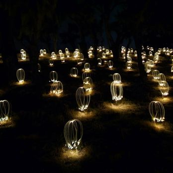 Sensorio - Art Galleries Near Me - Paso Robles, California Sensorio - Art Galleries Near Me - Paso Robles, California