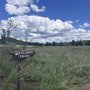 The Arboretum at Flagstaff