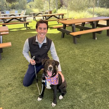 Pets In Need - Animal Shelters Near Me - Palo Alto, California
