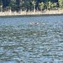 Photo of Galesville Reservoir