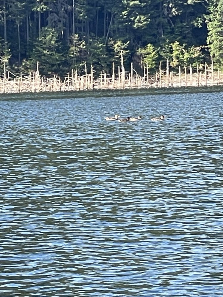 Galesville Reservoir Logo