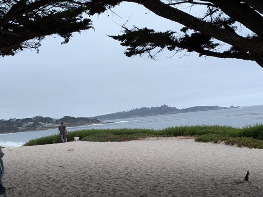 Carmel Beach by null