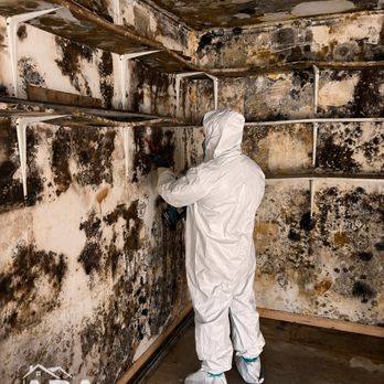 ARA Restoration Solutions - Professional mold remediation and contamination removal. - Damage Restoration Near Me ARA Restoration Solutions - Professional mold remediation and contamination removal. - Damage Restoration Near Me