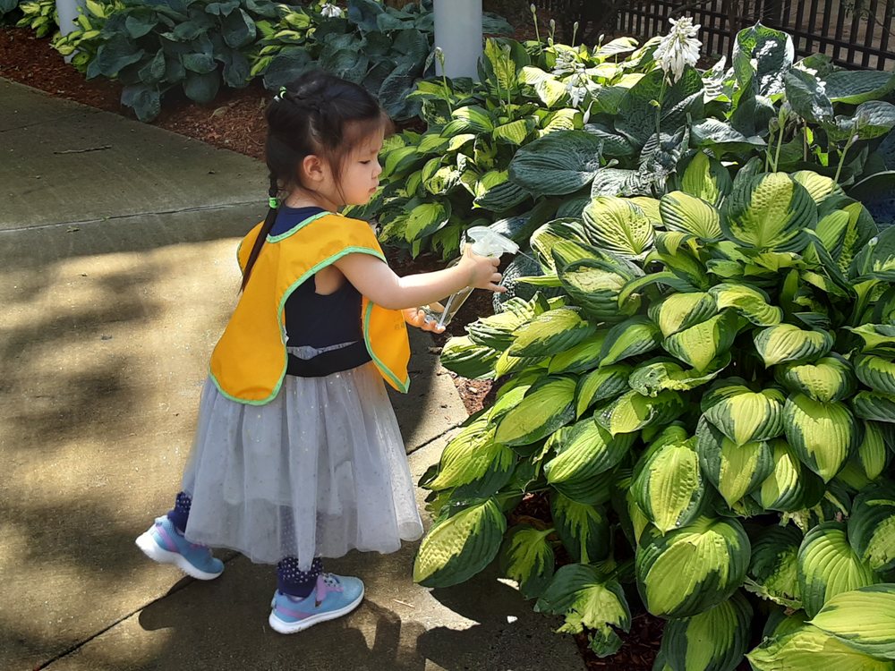 Buds & Blossoms - childcare center in Boston, MA