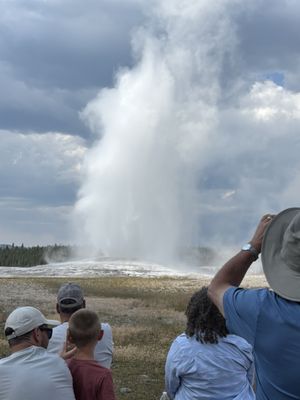 Old Faithful by null
