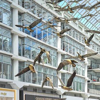 CF Toronto Eaton Centre - Shopping Centers Near Me - Toronto, Ontario CF Toronto Eaton Centre - Shopping Centers Near Me - Toronto, Ontario