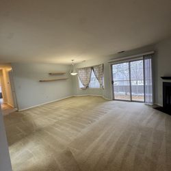 Freshstep Carpet & Upholstery Cleaning