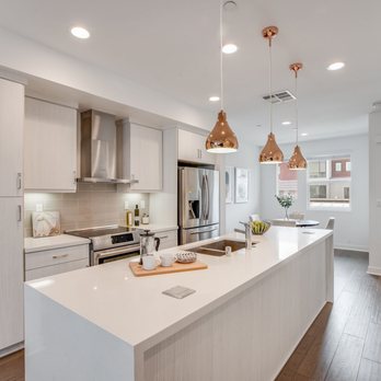 The Staging Tree - Home Staging Near Me The Staging Tree - Home Staging Near Me