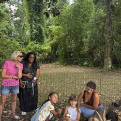 The Barnyard Bunch