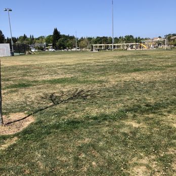 Econome Family Park - Natural grass lacrosse field - Parks Near Me - Folsom, California