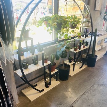 Open Air  - Plants - Themed Cafes Near Me - West Hollywood , California