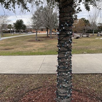 Depot Park - It looks even better at night!! - Parks Near Me - Gainesville, Florida