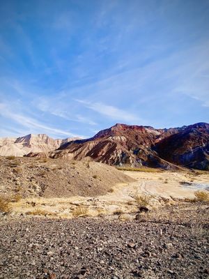 China Ranch Date Farm & Bakery by null