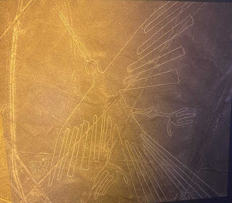 UFO Experience by null