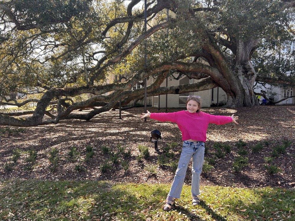 Friendship Oak At The University of Southern Mississippi