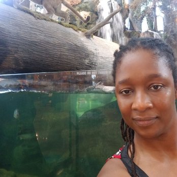 Bass Pro Shops - Chilling with the bass! - Outdoor Gear Near Me - Dania, Florida