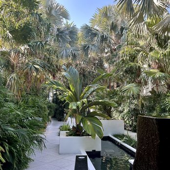 H2O Suites Hotel - Garden area - Hotels Near Me - Key West, Florida H2O Suites Hotel - Garden area - Hotels Near Me - Key West, Florida