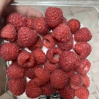 Driscoll's Berry Store - Raspberries - Fruits & Veggies Near Me - Aromas, California Driscoll's Berry Store - Raspberries - Fruits & Veggies Near Me - Aromas, California