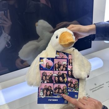 POTOBOX ARCADE - Duck won at the claw machine inside - Photo Booth Rentals Near Me - Los Angeles, California POTOBOX ARCADE - Duck won at the claw machine inside - Photo Booth Rentals Near Me - Los Angeles, California