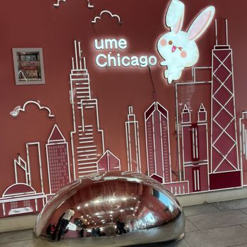 Ume Tea - Bubble Tea Near Me - Chicago, Illinois Ume Tea - Bubble Tea Near Me - Chicago, Illinois