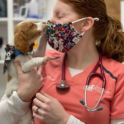Healing Paws Animal Hospital - Dr. Sarah Herr