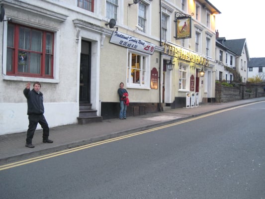 The Heathcock by null