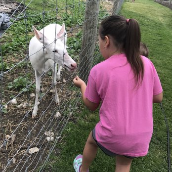 Deer Ranch - Amusement Parks Near Me - Saint Ignace, Michigan Deer Ranch - Amusement Parks Near Me - Saint Ignace, Michigan