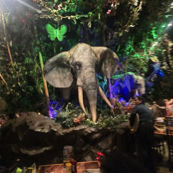Rainforest Cafe - American Near Me - Lake Buena Vista, Florida