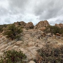 Constellation Trail - Trail