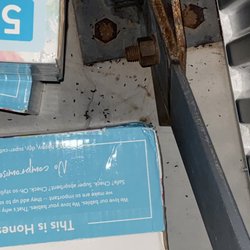 CubeSmart Self Storage - INFESTATION OF RODENT DROPPINGS