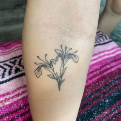 Commonwealth Tattoo Gallery