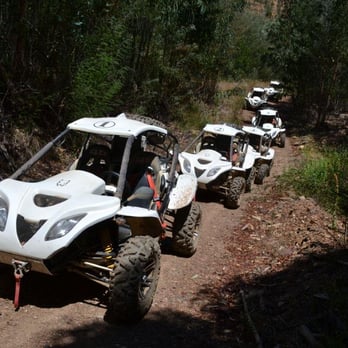 Bulldog Buggies - Active Life Near Me Bulldog Buggies - Active Life Near Me