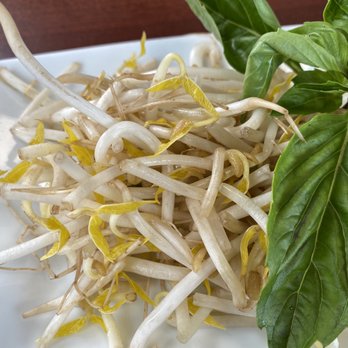 Pho U & Mi - Vietnamese Near Me - Huntington, West Virginia Pho U & Mi - Vietnamese Near Me - Huntington, West Virginia