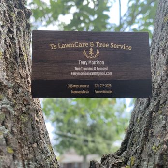 TS Lawn Care N Tree Service - business card - Tree Services Near Me TS Lawn Care N Tree Service - business card - Tree Services Near Me