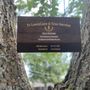 Photo of TS Lawn Care N Tree Service