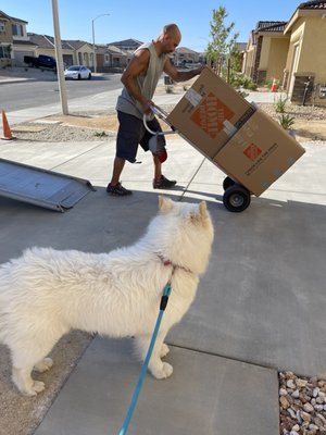 Big Time Movers - We are the movers who care. - These moves were done local we rap furniture with blankets and shrink rap so there's no damage and then we transport to destination take items in to your new house or apt set everything up how the customer likes and reassemble what needs to be reassembled. Big Time Movers - We are the movers who care. - These moves were done local we rap furniture with blankets and shrink rap so there's no damage and then we transport to destination take items in to your new house or apt set everything up how the customer likes and reassemble what needs to be reassembled.