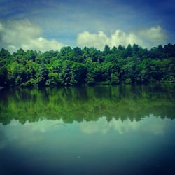 Williamsport Lake - Whipperwool view